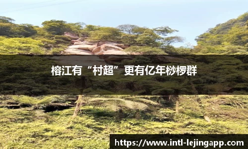 乐竞体育官方网站